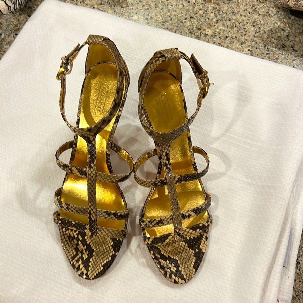 Coach Hayden Heels